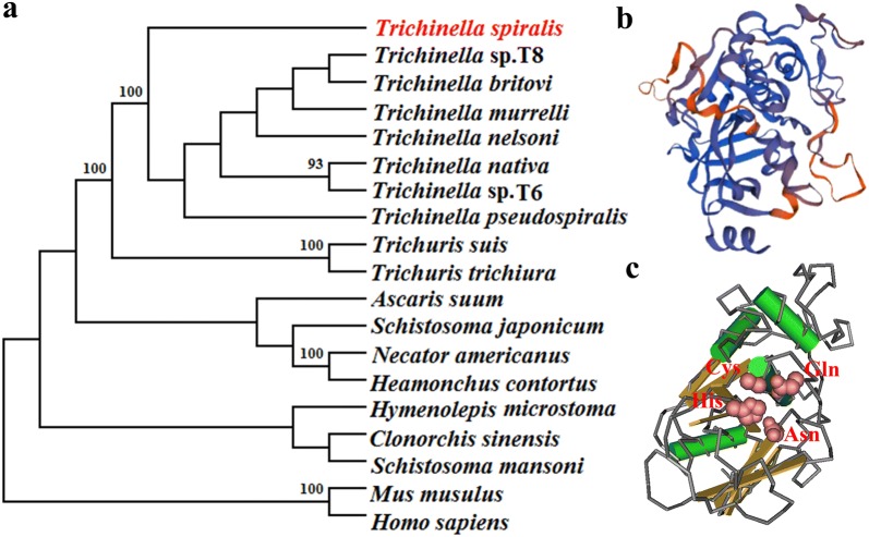 Fig. 2