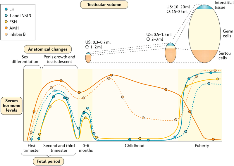 Fig. 2 |