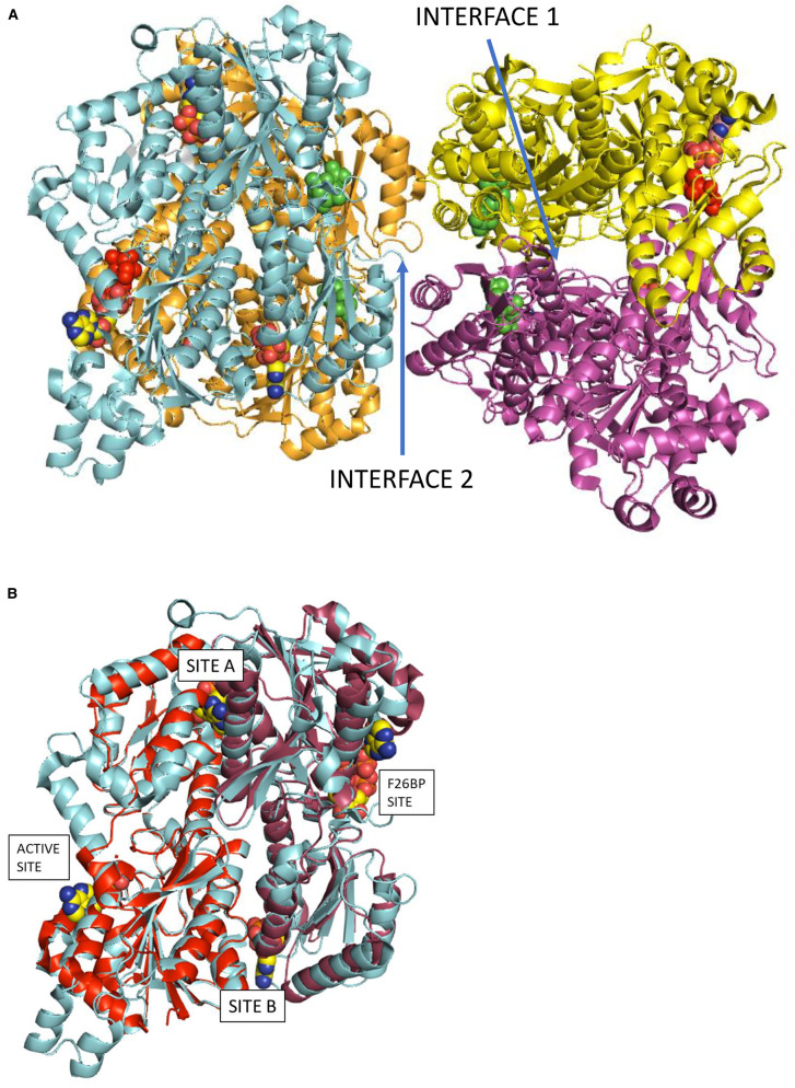 Figure 1.