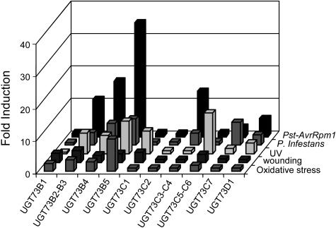 Figure 5.