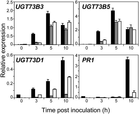 Figure 6.