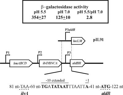 FIG. 3.