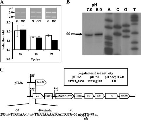 FIG. 2.