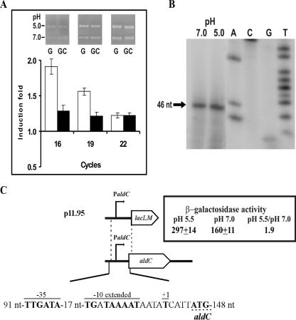 FIG. 4.