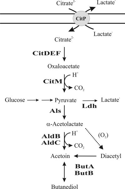 FIG. 6.