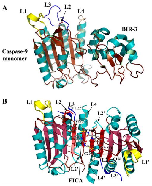 Fig. 6