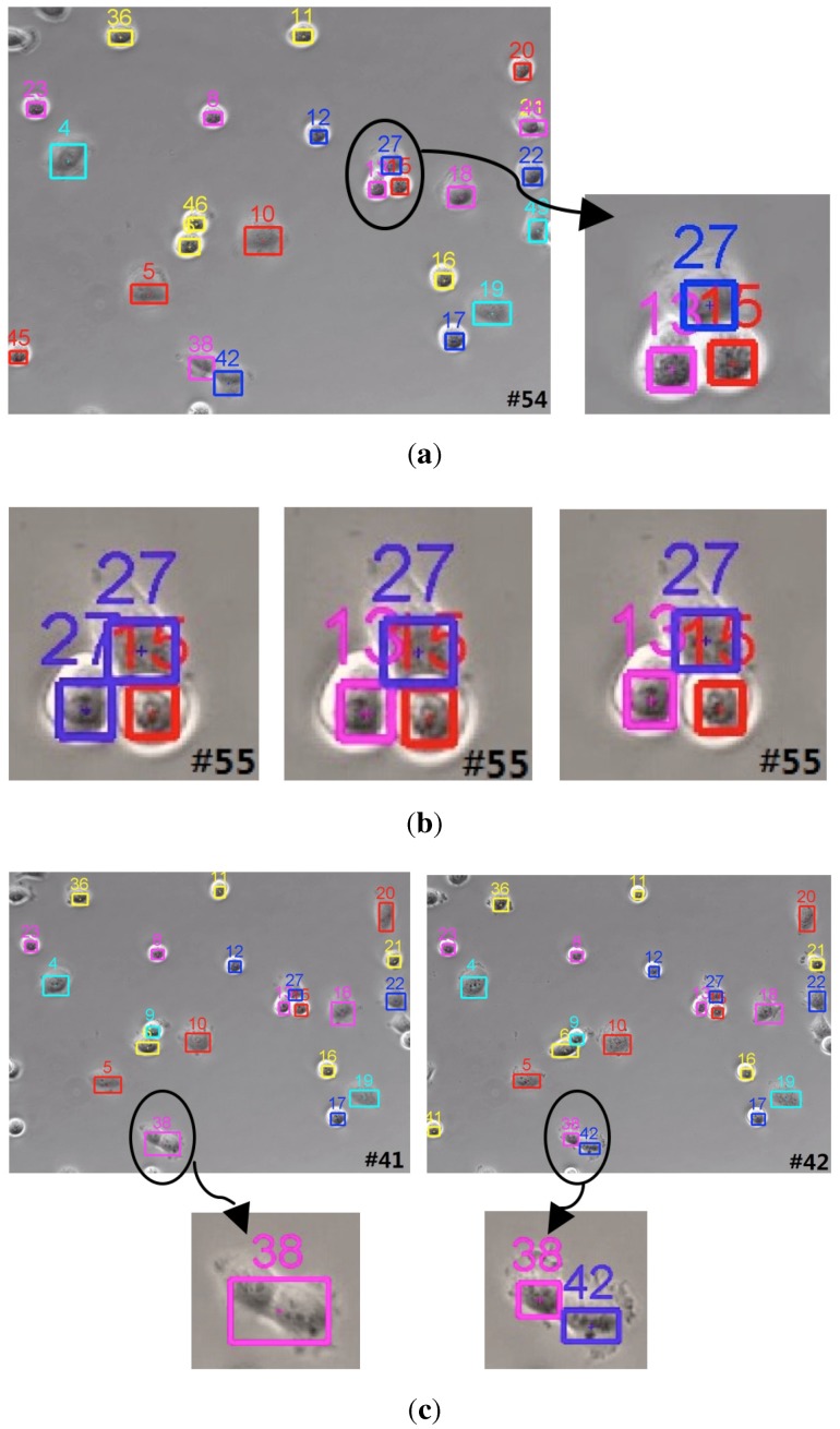 Figure 11