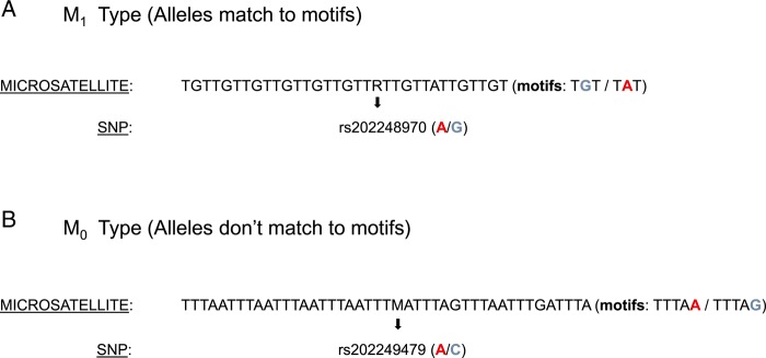 Figure 3.