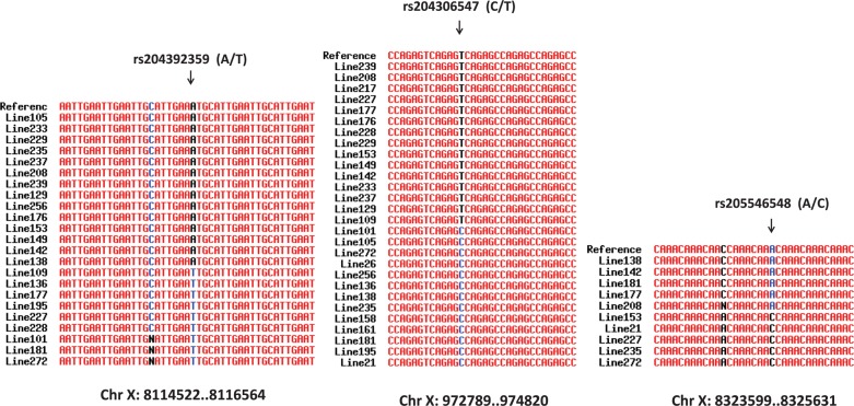 Figure 4.