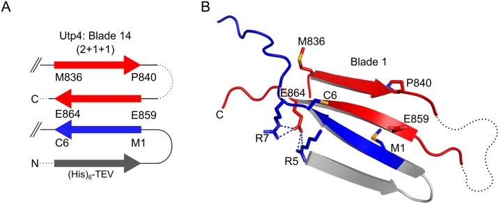 Fig 3