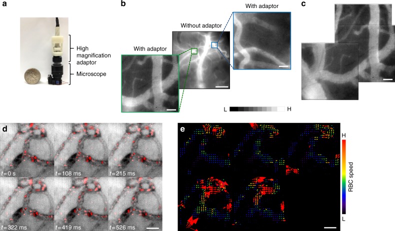 Fig. 7