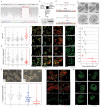 Extended Data Fig. 9