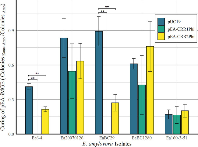 FIG 3