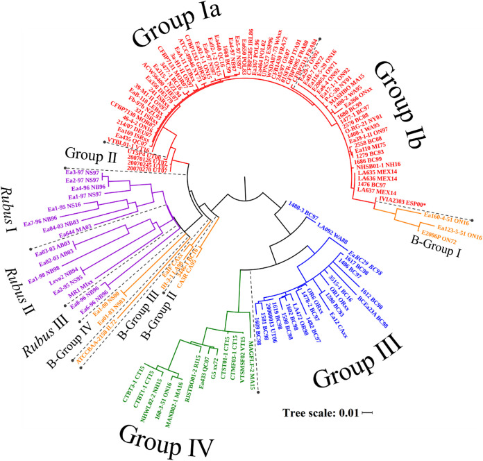 FIG 1