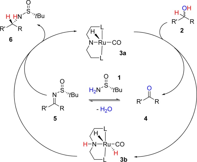 Scheme 2