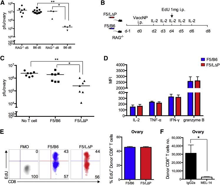 Figure 6