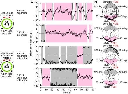 Fig. 1.