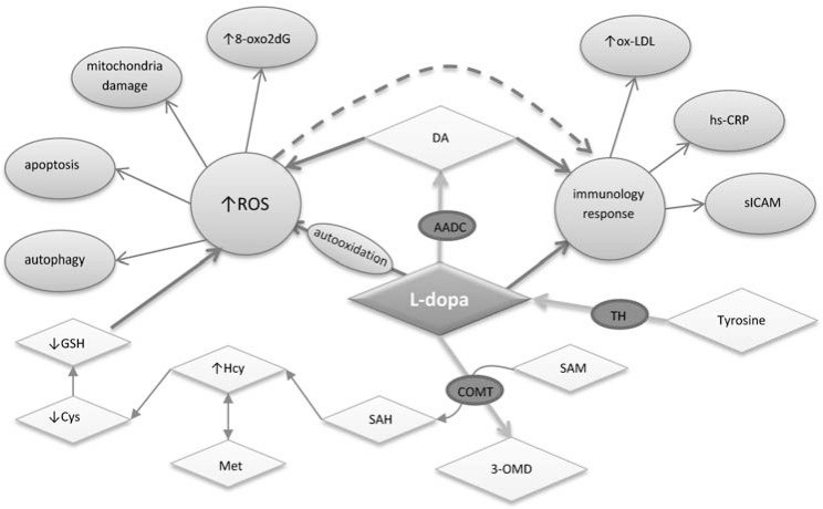 Fig. (1)