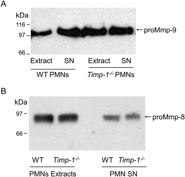 Figure 6: