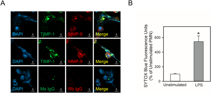 Figure 9: