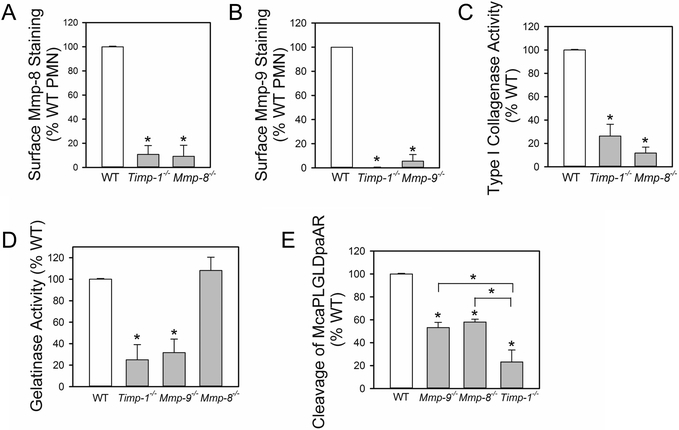 Figure 5: