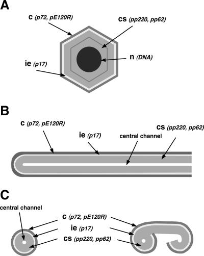 FIG. 8.