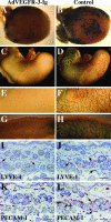 Figure 2-6926