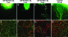 Figure 4-6926