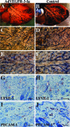 Figure 3-6926