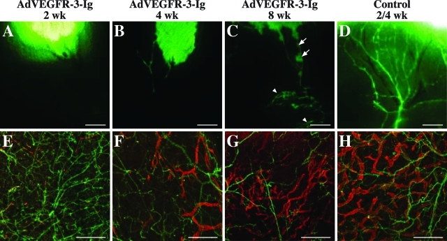 Figure 4-6926