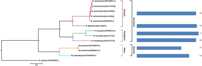 Fig. 4