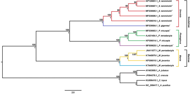 Fig. 2