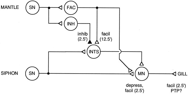 Fig. 13.