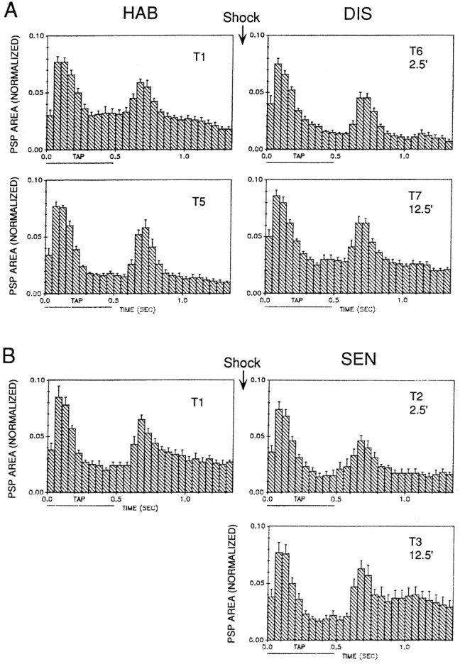 Fig. 10.