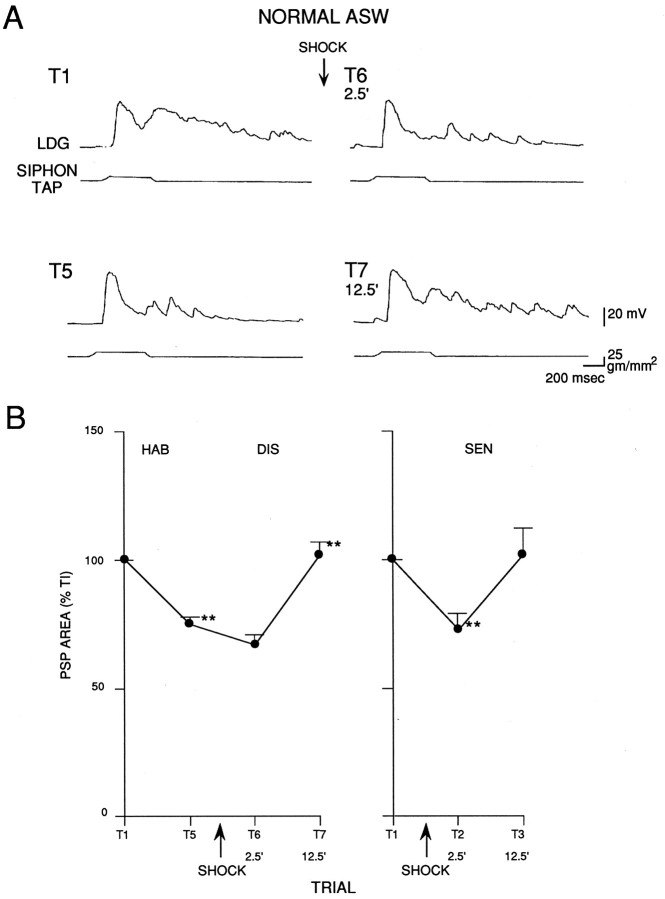 Fig. 9.