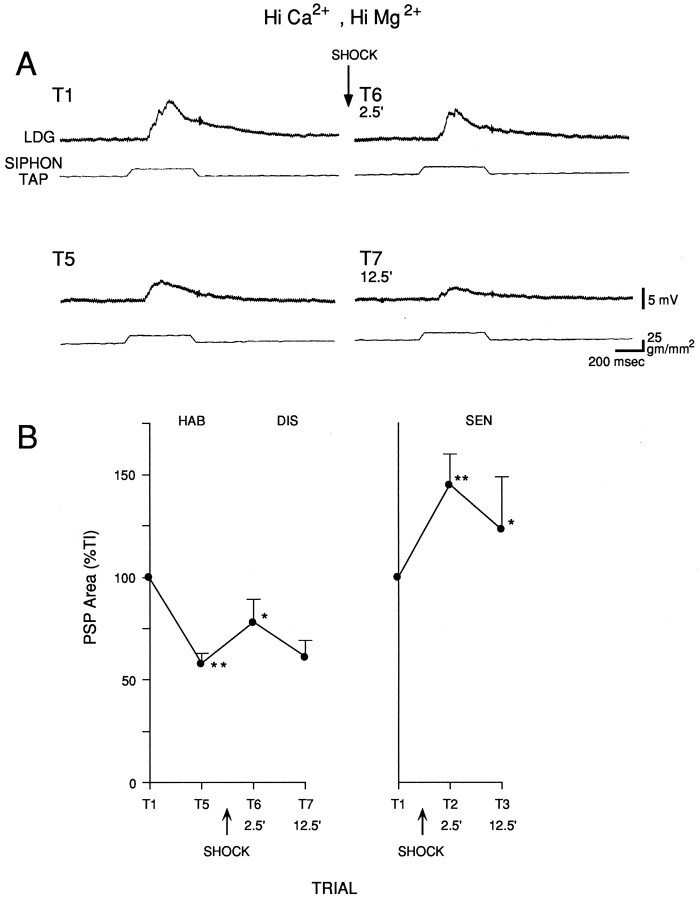 Fig. 11.