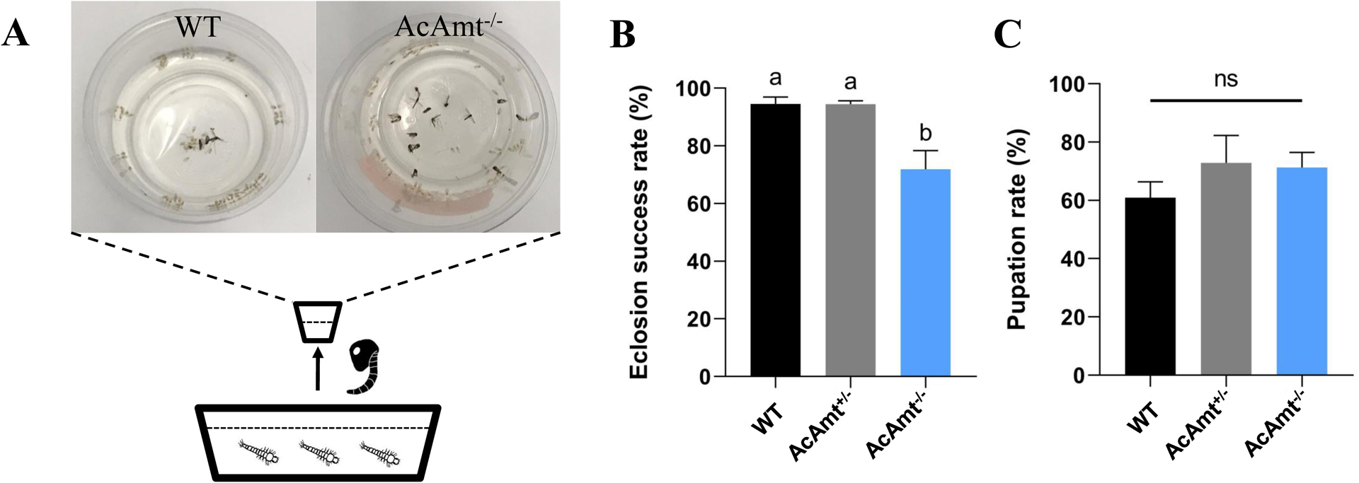 Figure 7.