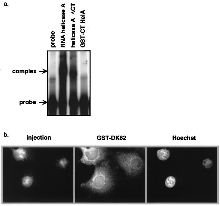 FIG. 6