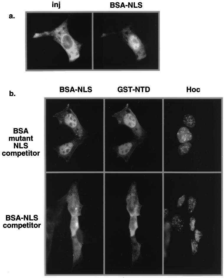 FIG. 7