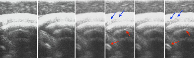 Fig. 6