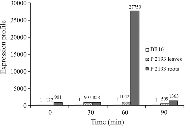 Figure 5