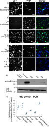 FIG 3