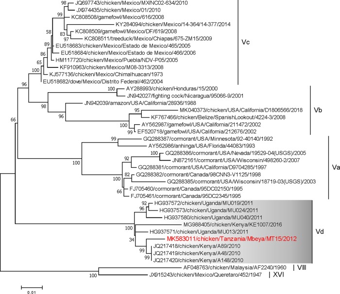 FIG 1