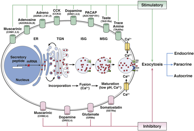 Figure 2