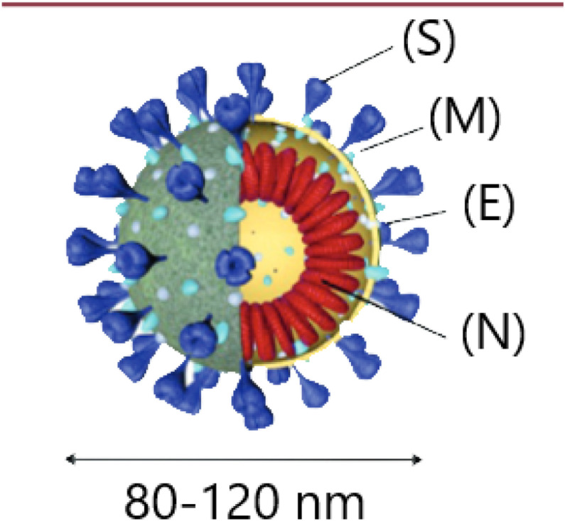 Fig. 1