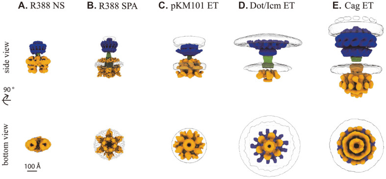 Fig. 1