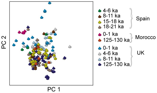 Figure 2