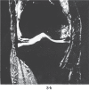 Figure 3-b: