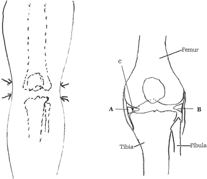 Figure 2: