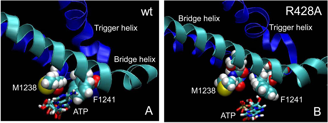 Fig. 7